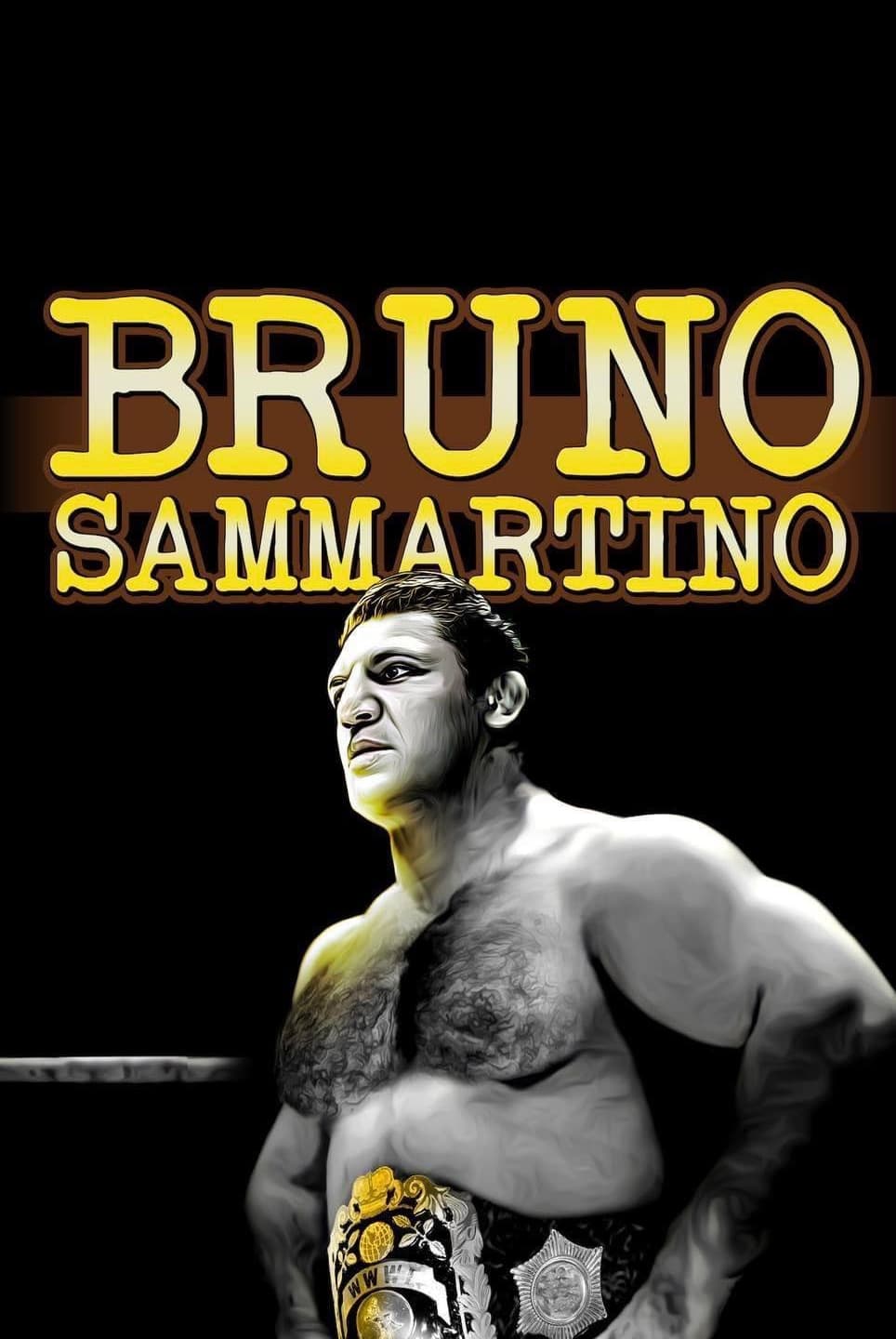 Постер Bruno Sammartino, La Mia Mama